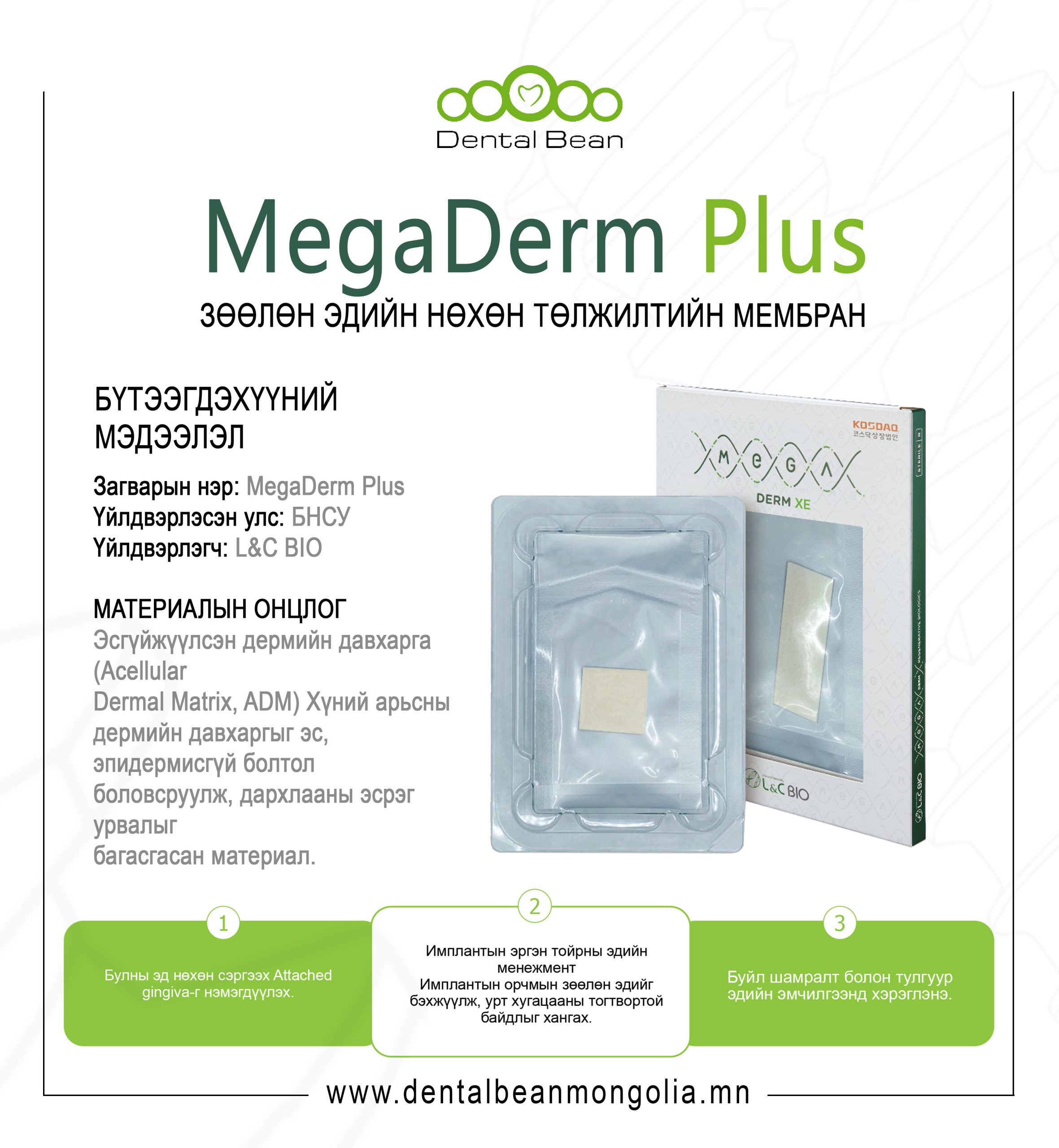 Gingival Masking Materials