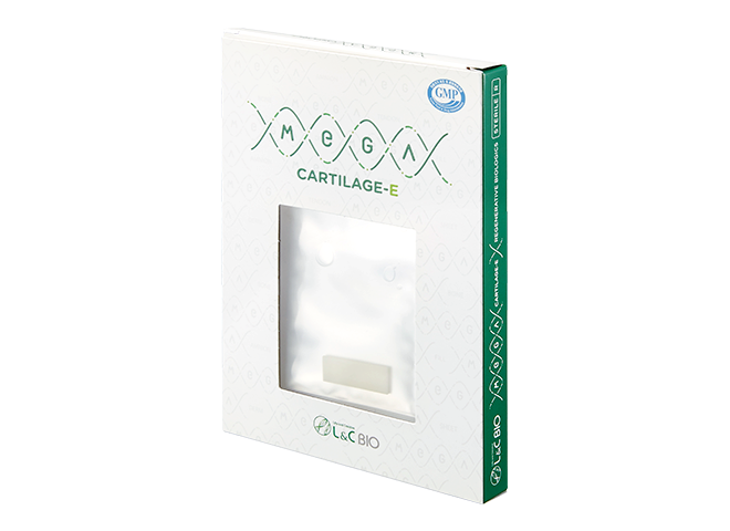 Gingival Masking Materials - Image 4